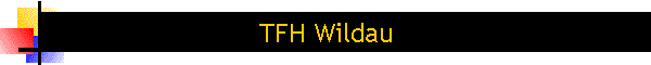 TFH Wildau