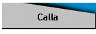 Calla